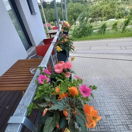 Pension Salma Чески-Крумлов Экстерьер фото